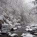 Nantahala River Lodge - Winter Trout Fishing on the Nantahala River